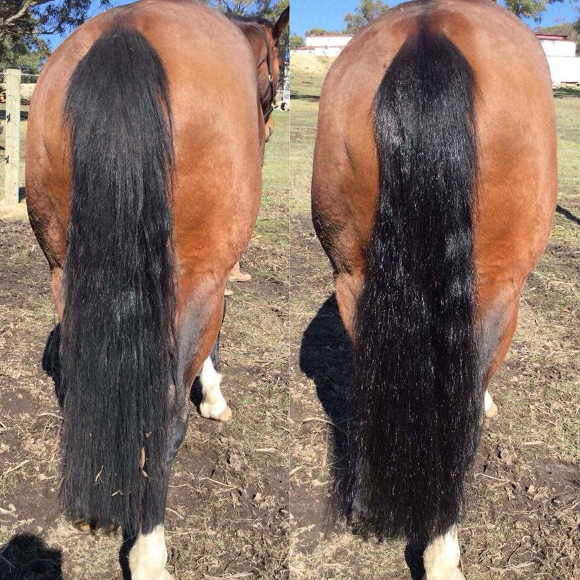 Mill & Hide - Hairy Pony - 2 in 1 Detangle & Shine Spray