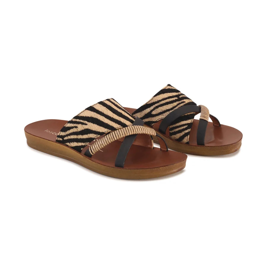 Los Cabos Bride - Zebra