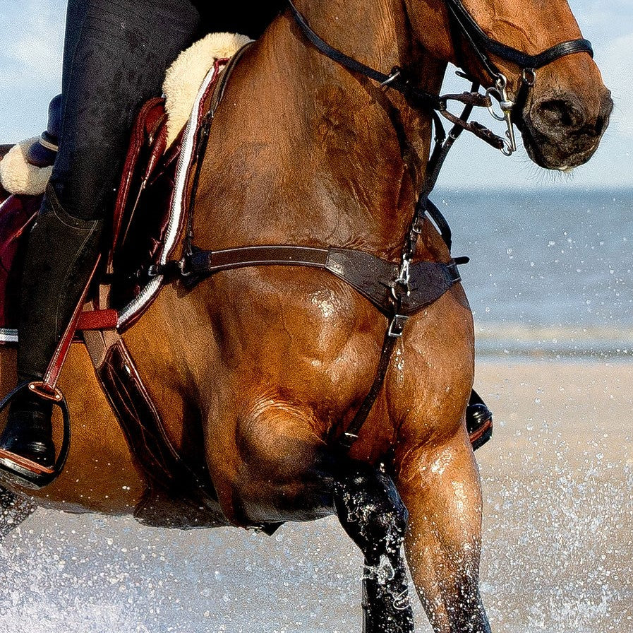 Bridles &amp; Breastplates