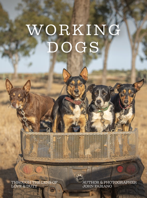 Working Dogs