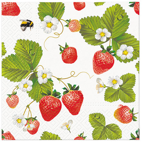 PAW Lunch Napkins 33cm - Assorted