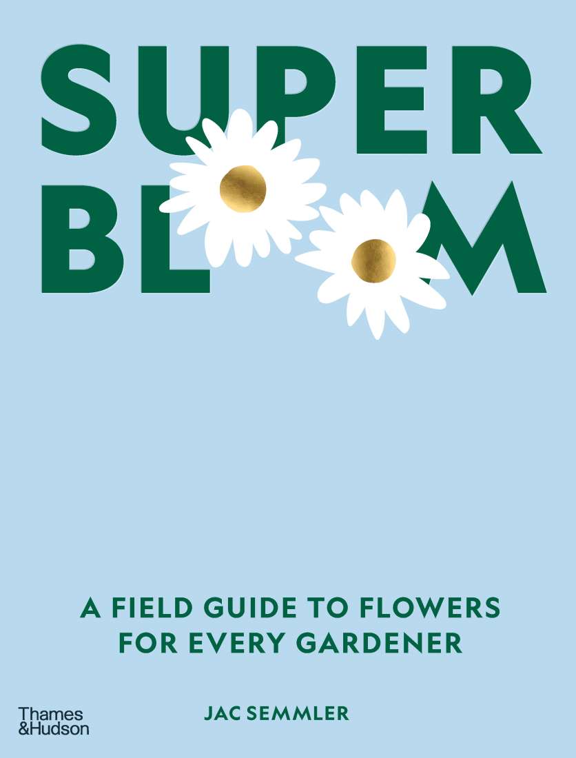 Mill & Hide - Brumby Sunstate - Super Bloom