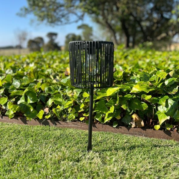 Cali Solar Stake Light