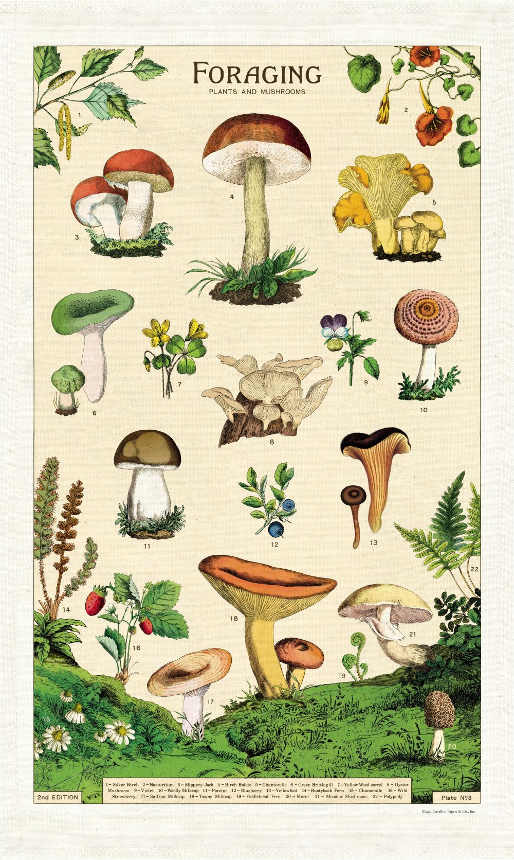 Tea Towel - Foraging