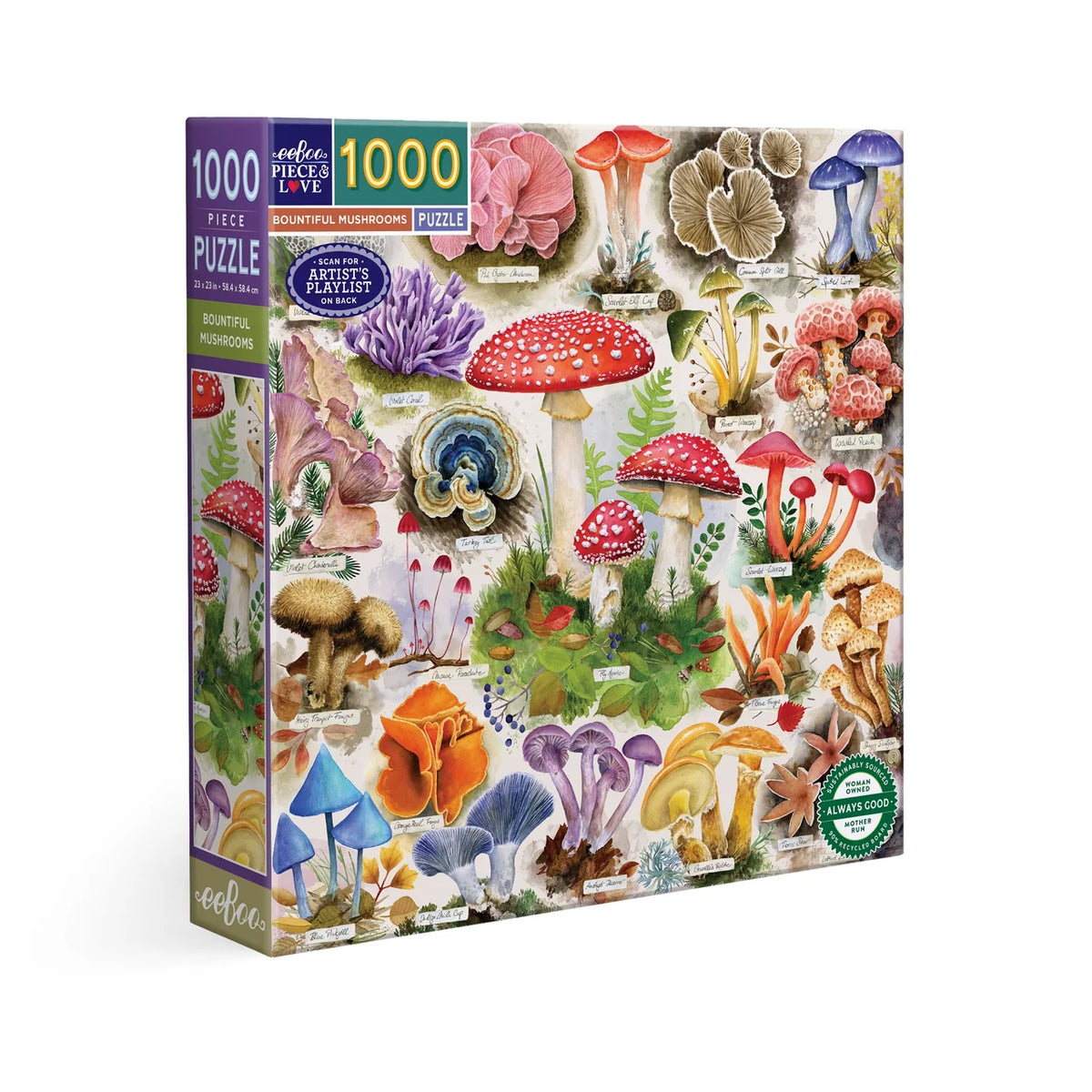 eeBoo 1000 Pc Puzzle - Bountiful Mushroom