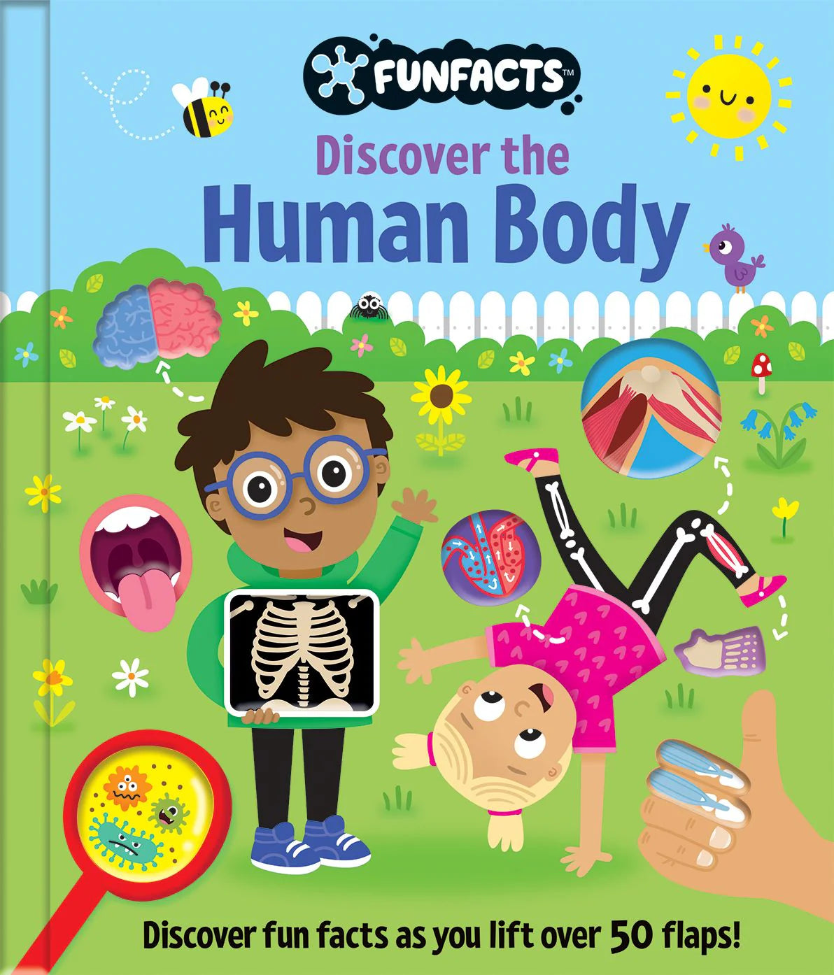 Fun Facts - Lift the Flap Board Book - Discover the Human Body