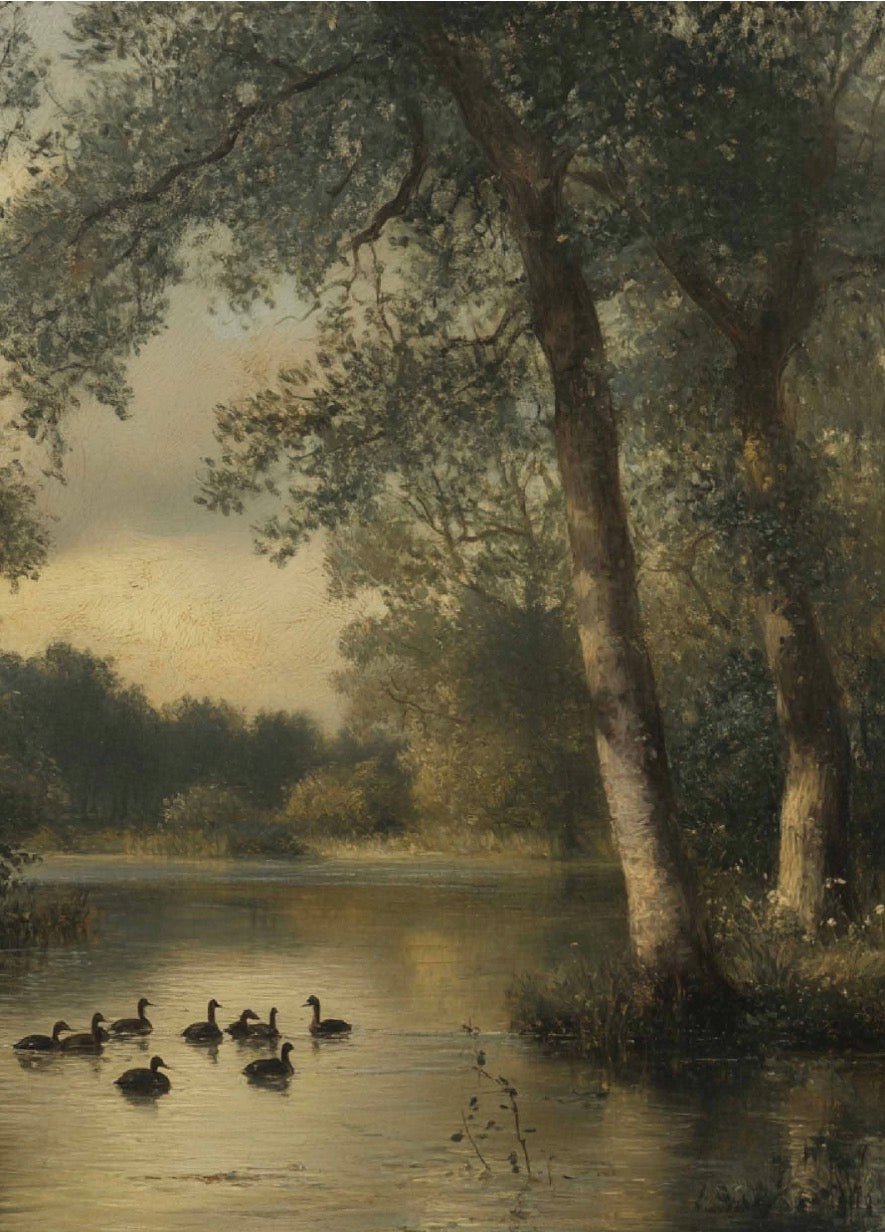 Greeting Card - Still Water