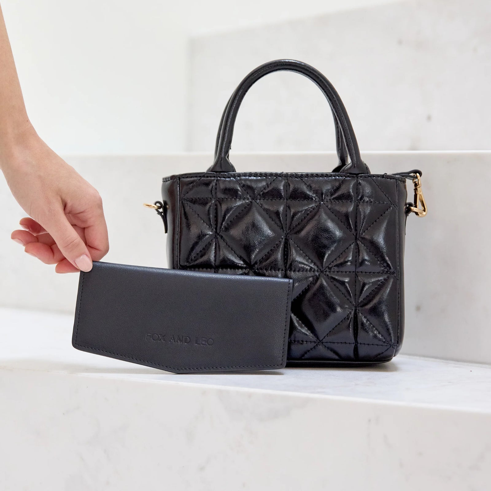 Fox and Leo Swallet