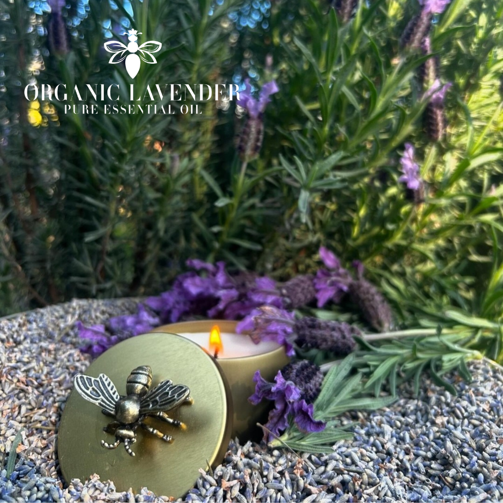Beeutiful Beeswax Candle - Organic French Lavender