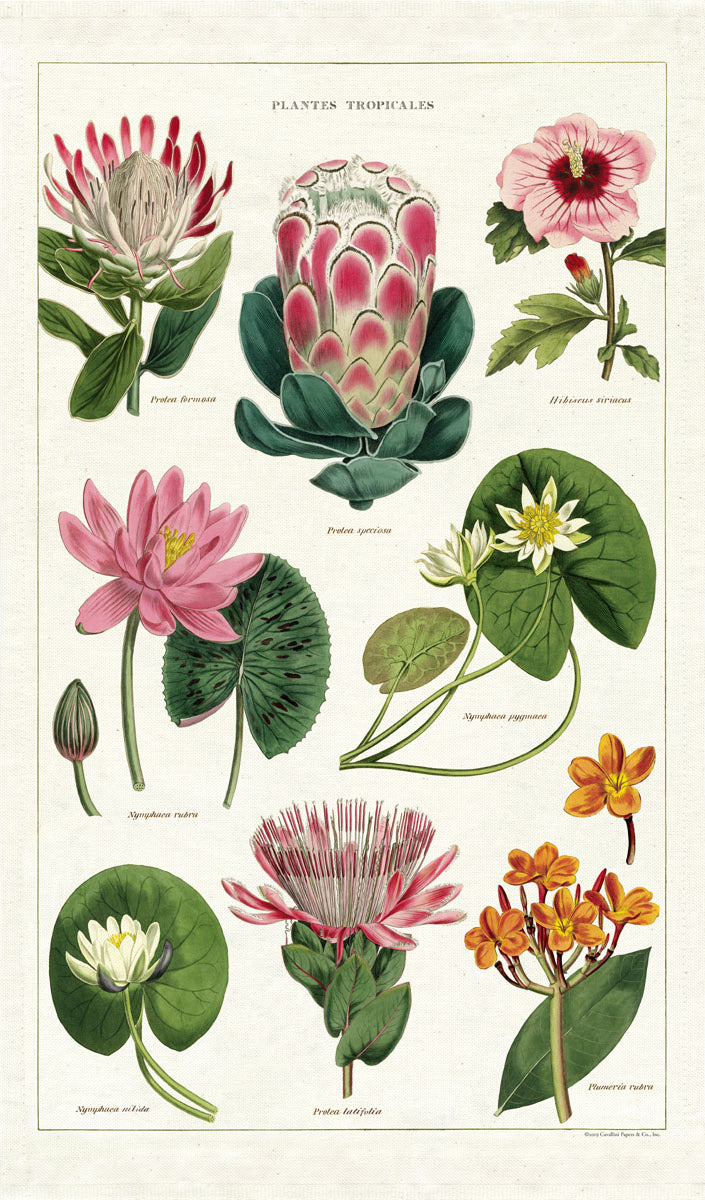 Tea Towel - Tropical Plants