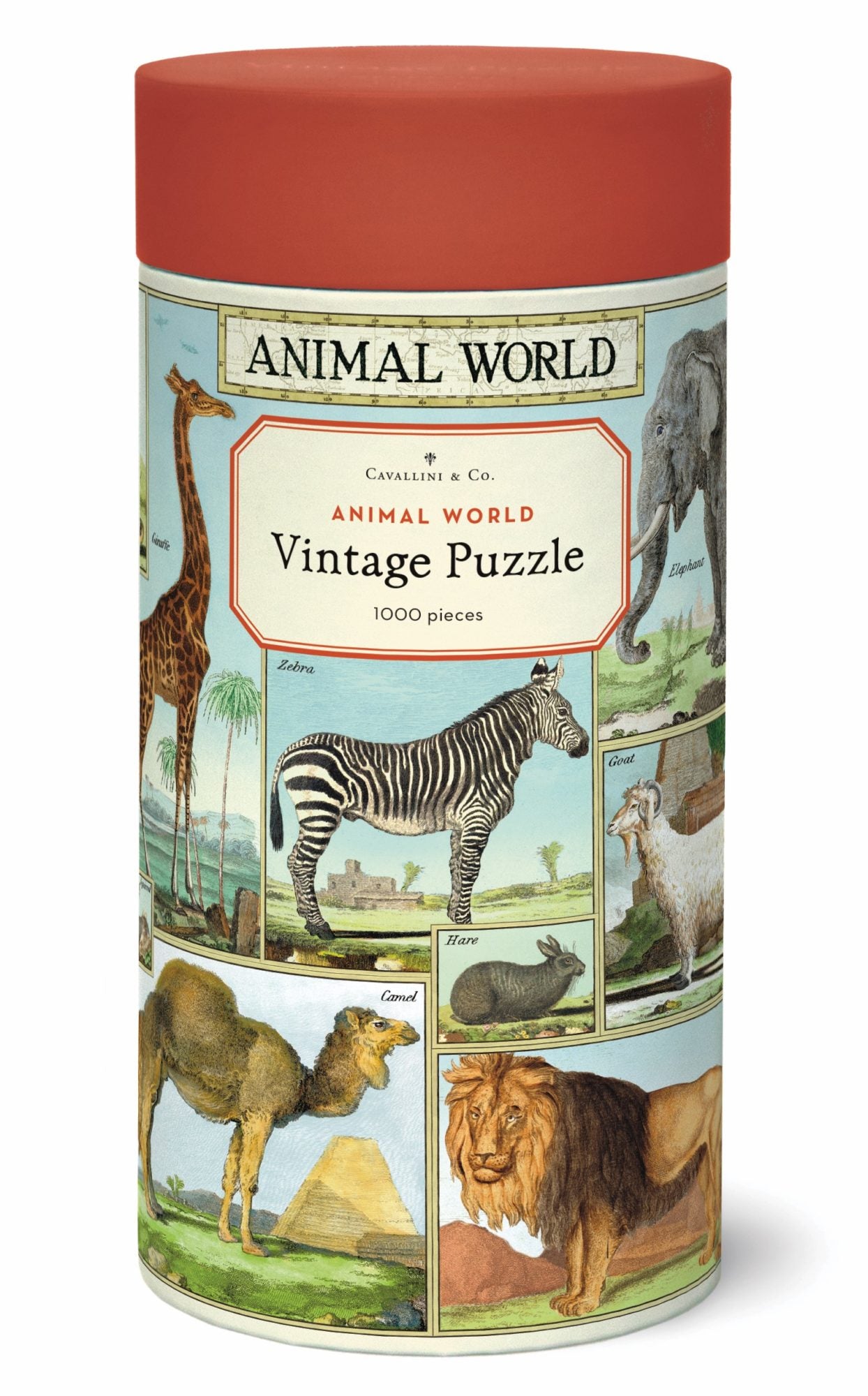 Mill & Hide - Bobangles - Cavallini Puzzle - Animal World