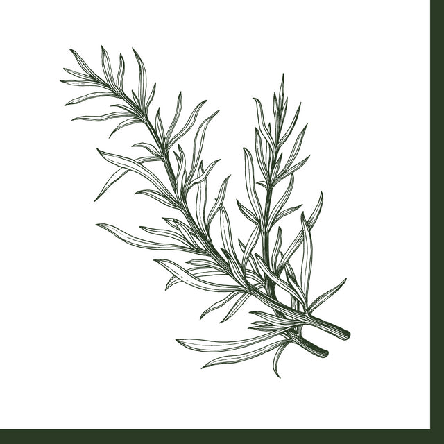 Rosemary Napkin