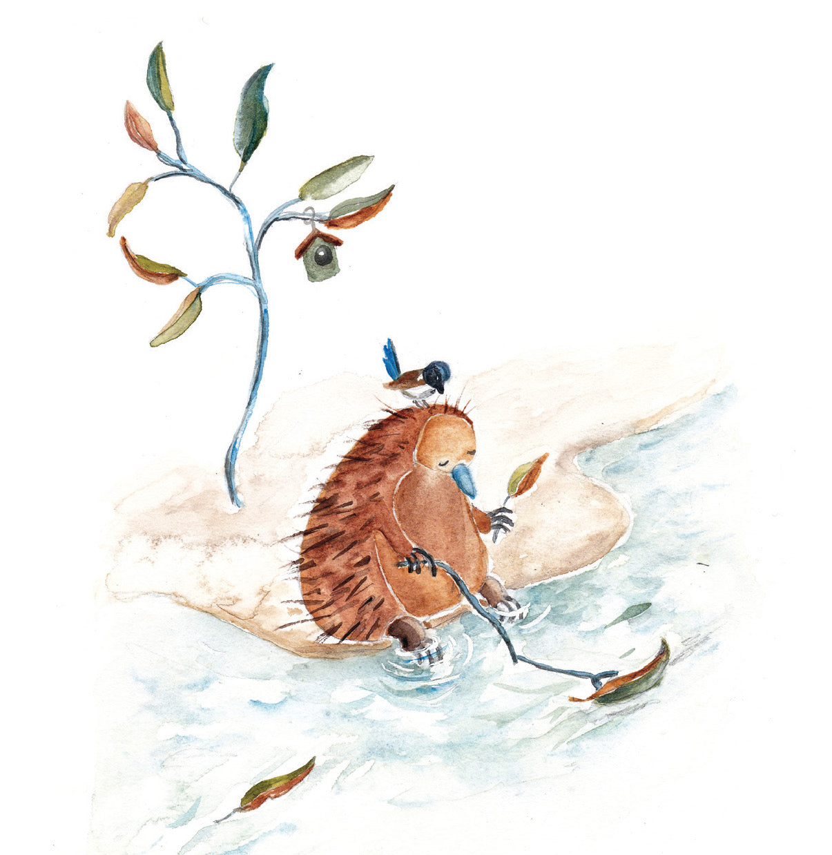 Mini Card - Echidna & Bird Fishing