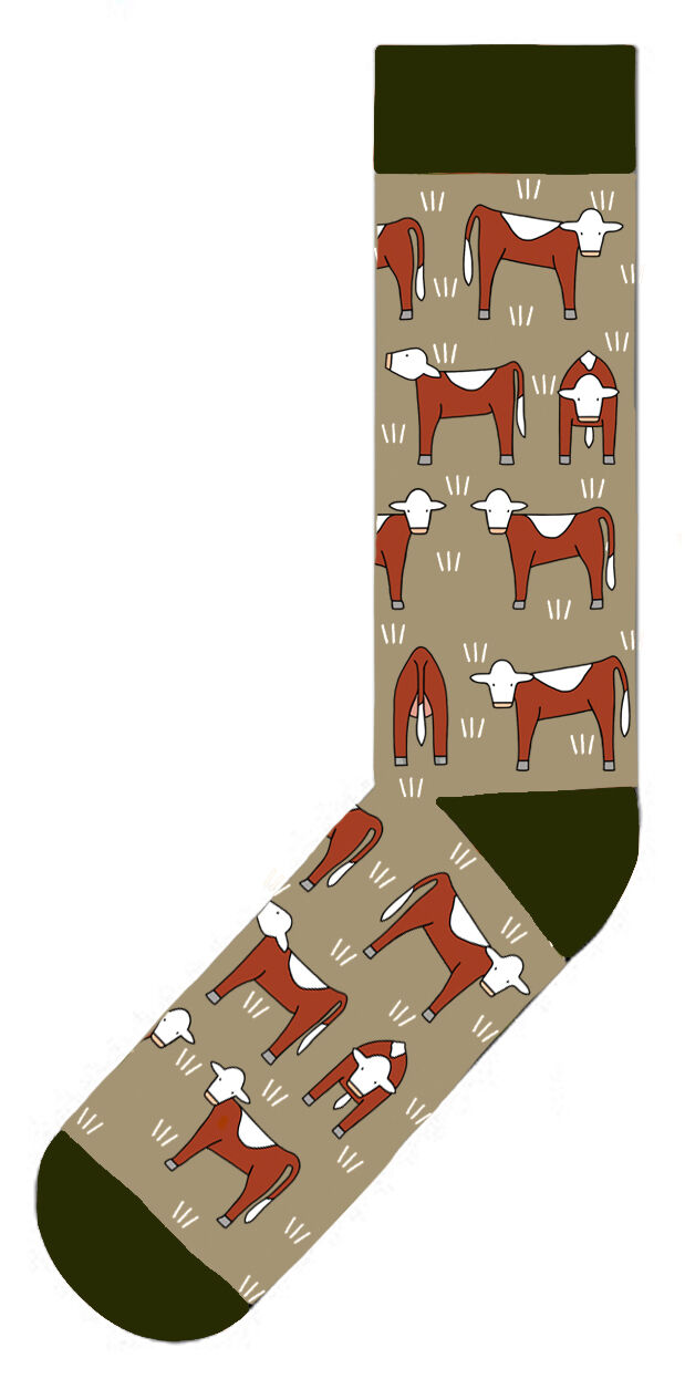 RTD - Socks Herefords on Stone