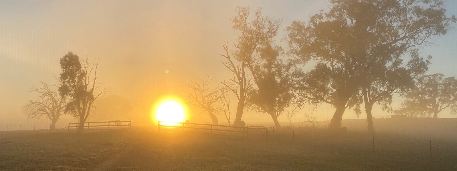 Mill & Hide - Shop Yass & Online - Wonderful mix of heart, home and horse - 