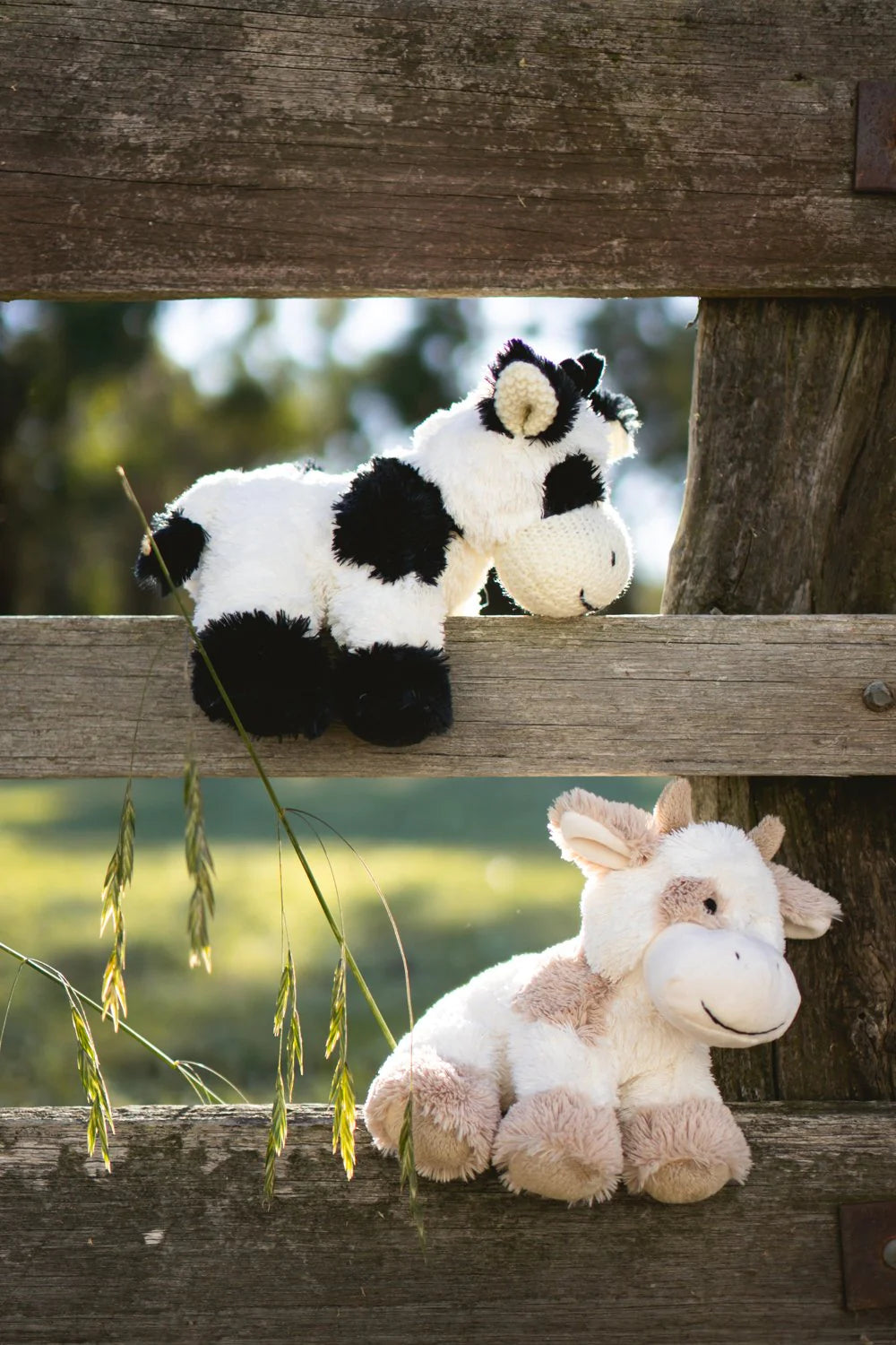 Mill & Hide - Nana Huchy - Coco the Cow