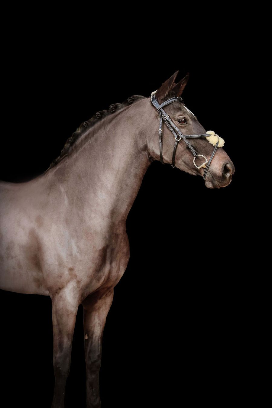 Mill & Hide - Lumiere Equestrian - Ava Bridle