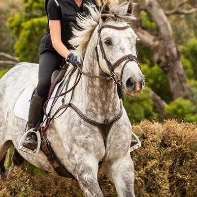 Mill & Hide - Lumiere Equestrian - Breastplate Anka Brown