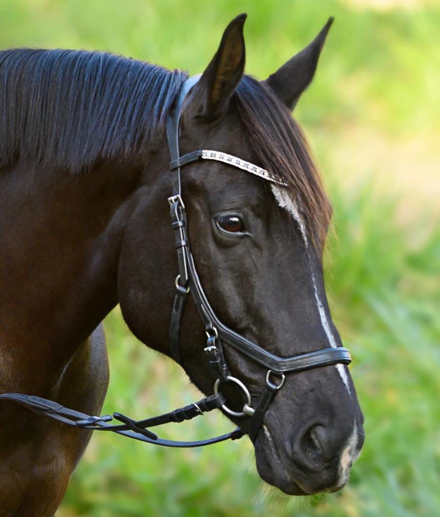 Mill & Hide - Lumiere Equestrian - Azure Bridle
