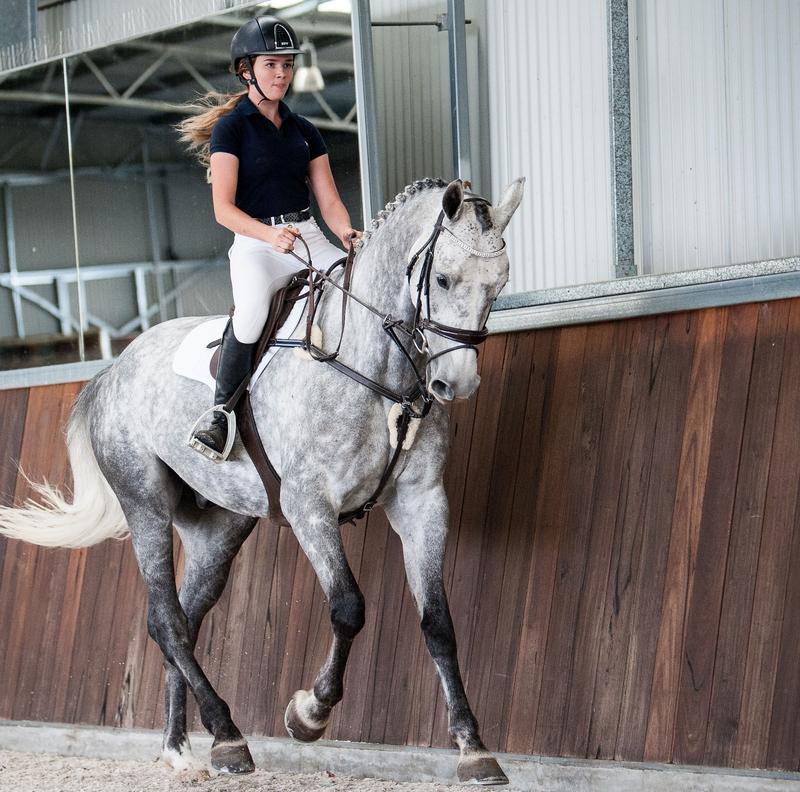 Mill & Hide - Lumiere Equestrian - Breastplate Antiqua Black