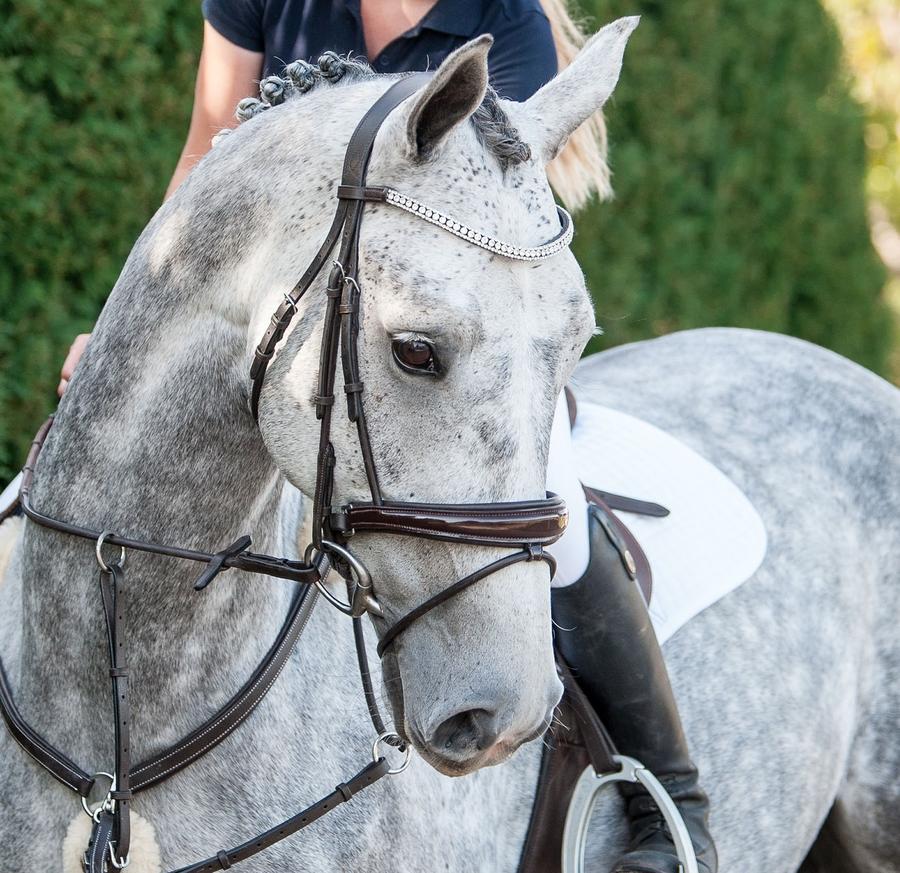 Mill & Hide - Lumiere Equestrian - Amie Bridle