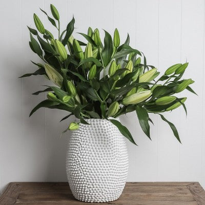 Mill & Hide - Mediterranean Markets - Mode Porci Vase