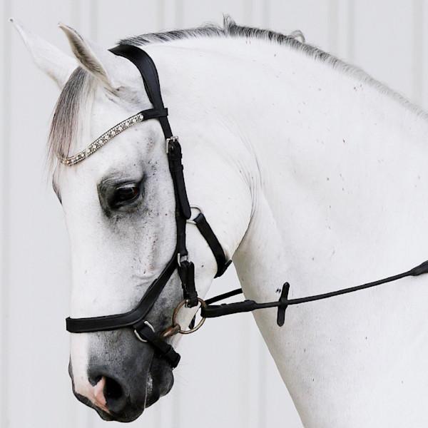 Mill & Hide - Lumiere Equestrian - Azure Bridle