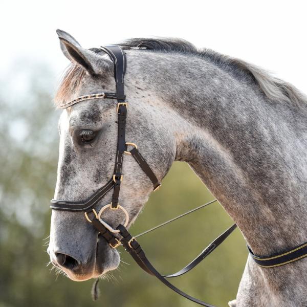 Mill & Hide - Lumiere Equestrian - Amber Bridle