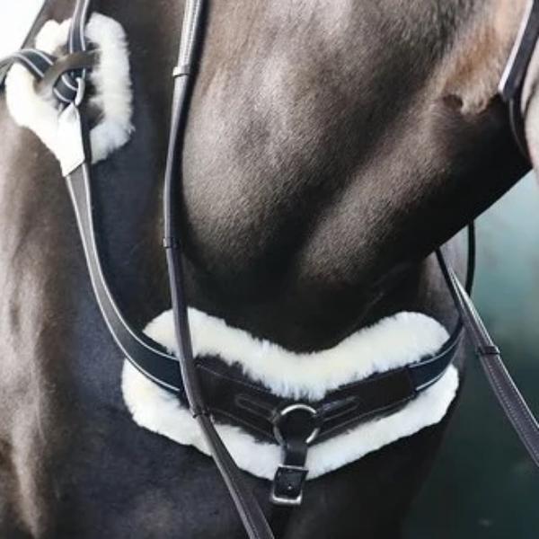 Mill & Hide - Lumiere Equestrian - Breastplate Venus Black